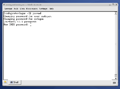 \includegraphics[scale=0.5]{figures/shell.ps}