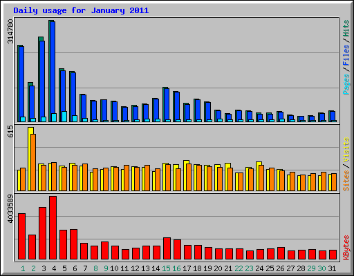 Daily usage for January 2011