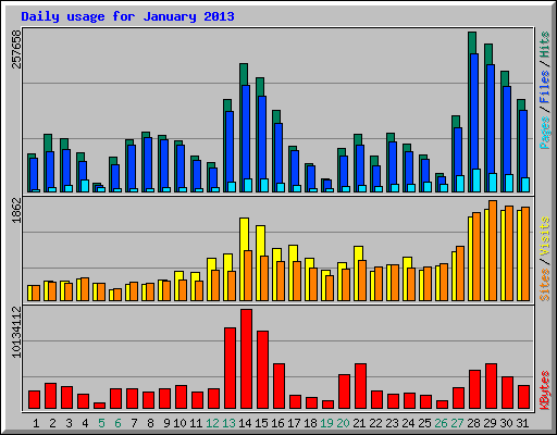 Daily usage for January 2013