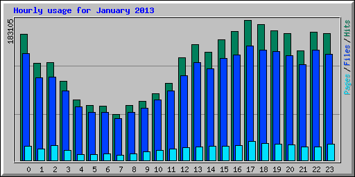 Hourly usage for January 2013