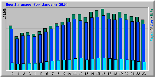 Hourly usage for January 2014