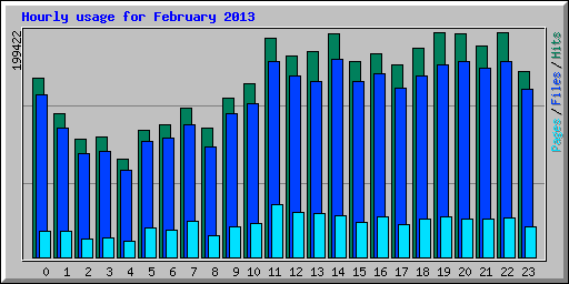 Hourly usage for February 2013